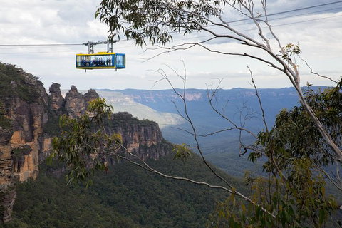 Blue Mountains Day Tour Including Three Sisters, Scenic World And Wildlife Park - Tourism Brisbane 1