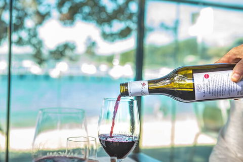 Sydney Harbour Progressive Long Lunch Cruise - Tourism Brisbane 13