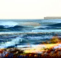 7-Day Byron Bay Evans Head and Moonee Beach Surf Safari from Brisbane Gold Coast or Byron Bay - Tourism Brisbane