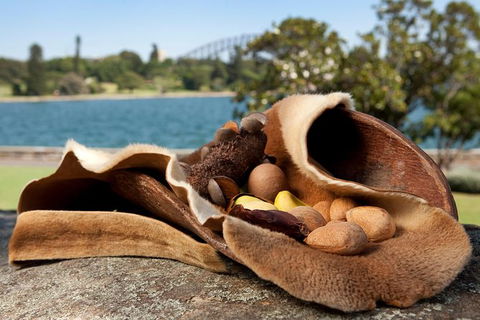 Aboriginal Heritage Tour At The Royal Botanic Garden Sydney - Brisbane Tourism 7
