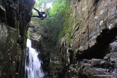 Full Day Sub-Tropical Rainforest Canyoning Adventure From Sydney - Tourism Brisbane 1