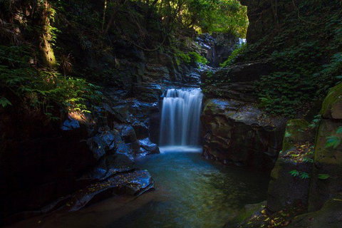 Full Day Sub-Tropical Rainforest Canyoning Adventure From Sydney - Tourism Brisbane 8