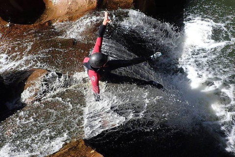 Full Day Sub-Tropical Rainforest Canyoning Adventure From Sydney - Tourism Brisbane 5