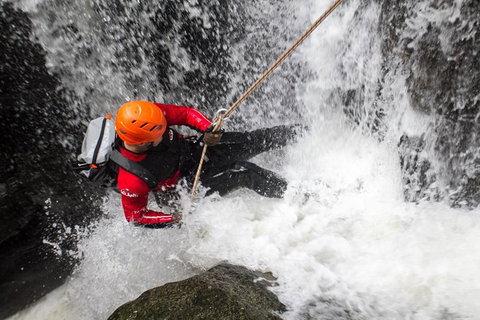 Full Day Sub-Tropical Rainforest Canyoning Adventure From Sydney - Tourism Brisbane 2