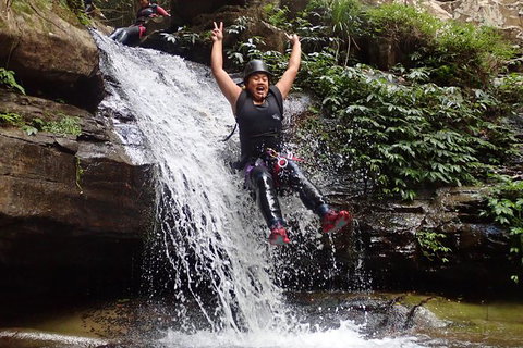 Full Day Sub-Tropical Rainforest Canyoning Adventure From Sydney - Tourism Brisbane 3