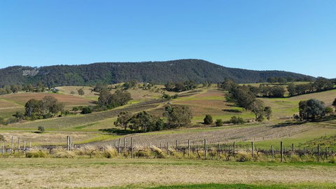 Small Group All Inclusive Hunter Valley Wine Tasting Tour From Sydney - Tourism Brisbane 10