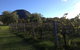 Small Group All Inclusive Hunter Valley Wine Tasting Tour From Sydney - thumb 17