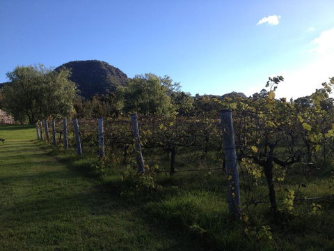 Small Group All Inclusive Hunter Valley Wine Tasting Tour From Sydney - Tourism Brisbane 17