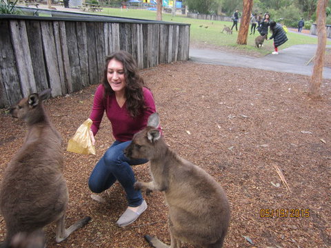 Small Group All Inclusive Hunter Valley Wine Tasting Tour From Sydney - Tourism Brisbane 14