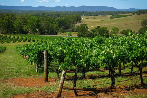 Small Group All Inclusive Hunter Valley Wine Tasting Tour From Sydney - Tourism Brisbane 0