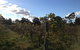 Small Group All Inclusive Hunter Valley Wine Tasting Tour From Sydney - thumb 18