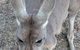 Small Group All Inclusive Hunter Valley Wine Tasting Tour From Sydney - thumb 6
