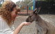 Small Group All Inclusive Hunter Valley Wine Tasting Tour From Sydney - thumb 16