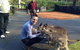 Small Group All Inclusive Hunter Valley Wine Tasting Tour From Sydney - thumb 2