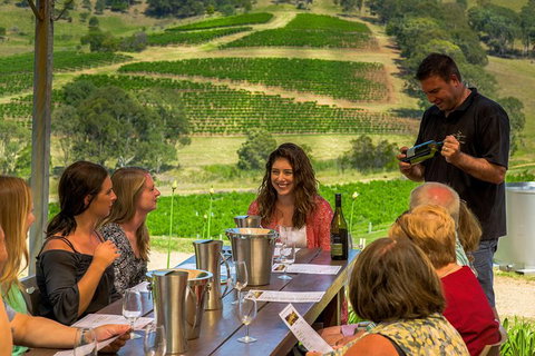 Small Group All Inclusive Hunter Valley Wine Tasting Tour From Sydney - Tourism Brisbane 30