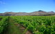 Small Group All Inclusive Hunter Valley Wine Tasting Tour From Sydney - thumb 28
