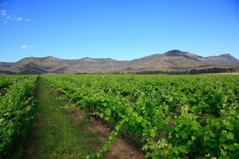 Small Group All Inclusive Hunter Valley Wine Tasting Tour From Sydney - Tourism Brisbane 28
