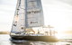 Sydney Harbour Sip And Sail Twilight Cruise - thumb 0