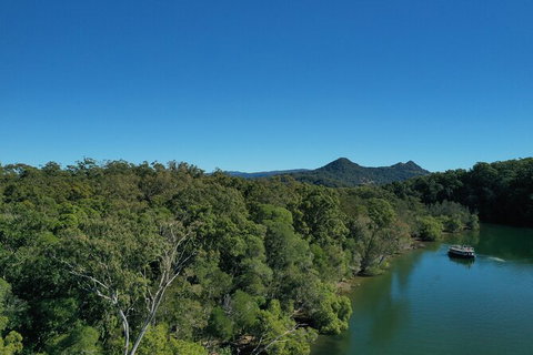 Brunswick Heads Rainforest Eco-Cruise - Tourism Brisbane 6