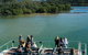 Brunswick Heads Rainforest Eco-Cruise - thumb 8