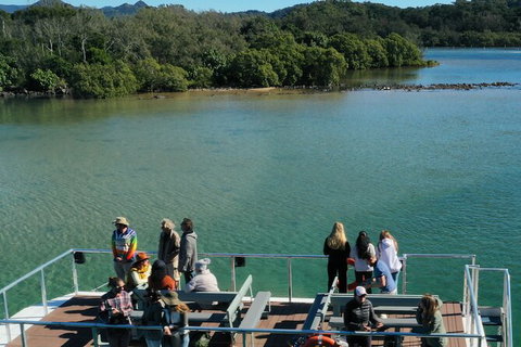 Brunswick Heads Rainforest Eco-Cruise - Tourism Brisbane 8