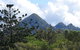 Brunswick Heads Rainforest Eco-Cruise - thumb 3