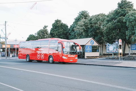 SkyBus Byron Bay Express - Tourism Brisbane 1