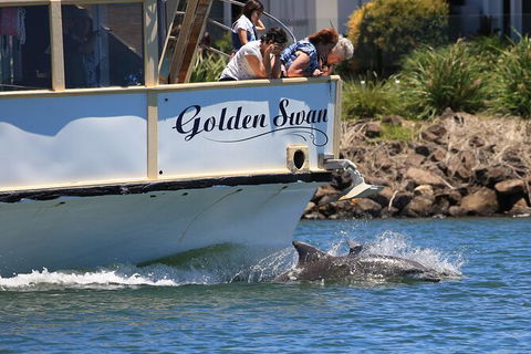 Tweed River And Rainforest Eco Cruise - Brisbane Tourism 2