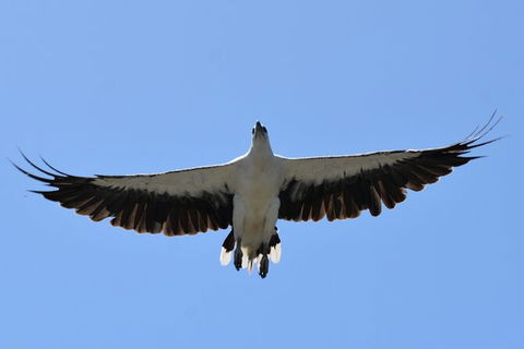 Tweed River And Rainforest Eco Cruise - Brisbane Tourism 7
