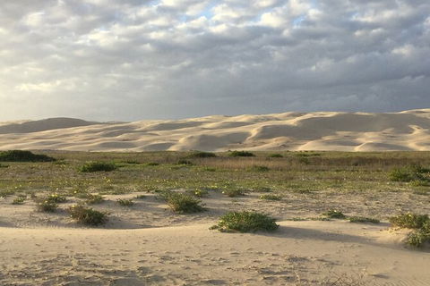 Port Stephens Bush, Beach And Sand Dune 4WD Passenger Tour - Tourism Brisbane 3