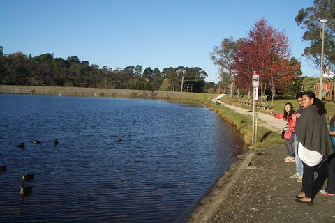 All-Day Blue Mountains Private Tour With Professional Guide For Up To 4 People - Brisbane Tourism 24
