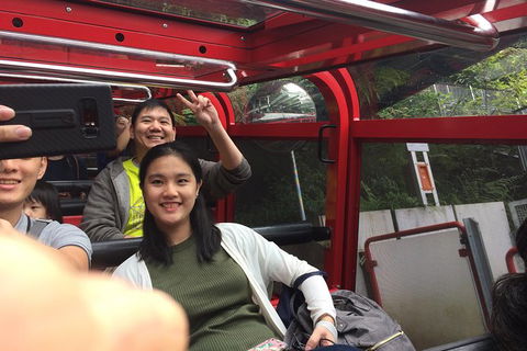 All-Day Blue Mountains Private Tour With Professional Guide For Up To 4 People - Brisbane Tourism 15