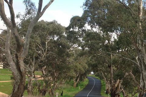All-Day Blue Mountains Private Tour With Professional Guide For Up To 4 People - Brisbane Tourism 22