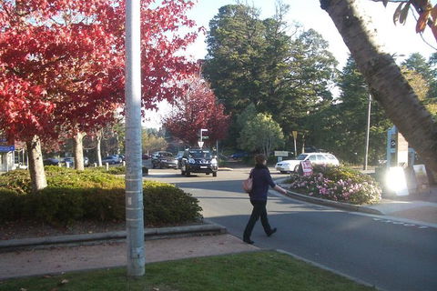 All-Day Blue Mountains Private Tour With Professional Guide For Up To 4 People - Brisbane Tourism 12