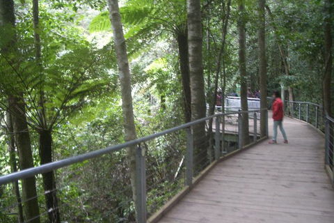 All-Day Blue Mountains Private Tour With Professional Guide For Up To 4 People - Brisbane Tourism 20