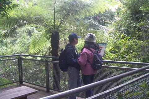 All-Day Blue Mountains Private Tour With Professional Guide For Up To 4 People - Brisbane Tourism 19