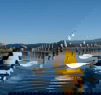 Batemans Bay Oyster Tasting Kayak Tour - Brisbane Tourism