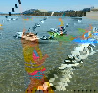 Batemans Bay Glass-Bottom Kayak Tour Over 2 Relaxing Hours - Brisbane Tourism