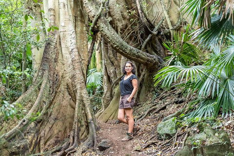 South Coast Private Bucket List Full Day Tour - Tourism Brisbane 0