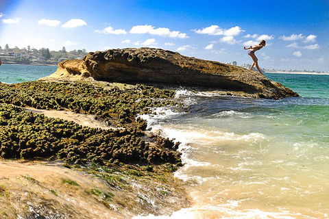 South Coast Private Bucket List Full Day Tour - Tourism Brisbane 1