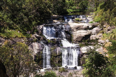 Agnes Falls Scenic Reserve - Brisbane Tourism 0