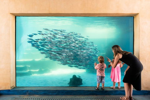AQWA The Aquarium Of Western Australia - Tourism Brisbane 0