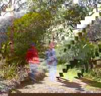 Arthurs Seat Circuit Walk - Brisbane 4u