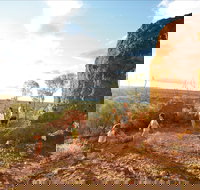 Baldy Top Lookout - Tourism Brisbane