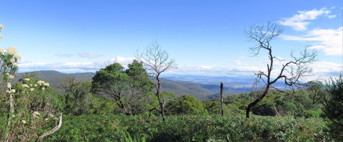 Blue Range Camping And Picnic Area - Tourism Brisbane 0