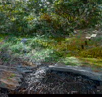 Browns Forest Loop Trail - Tourism Brisbane