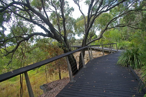 Canoe Point Beach And Parklands - Tourism Brisbane 1