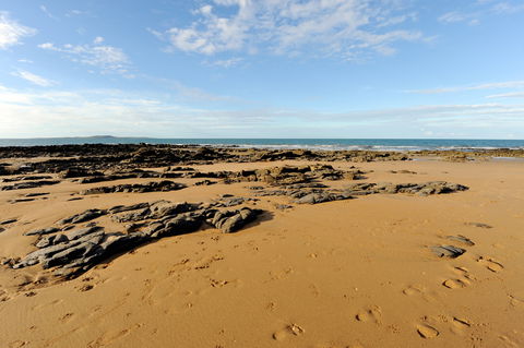 Canoe Point Beach And Parklands - Tourism Brisbane 2