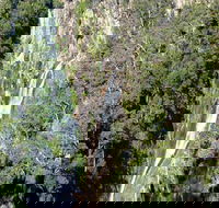 Carrai National Park - Tourism Brisbane