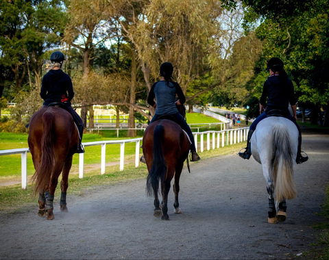 Centennial Stables - Tourism Brisbane 0